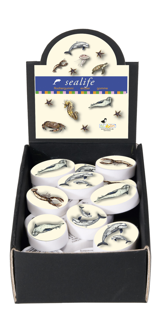 Guma Sealife - krabica